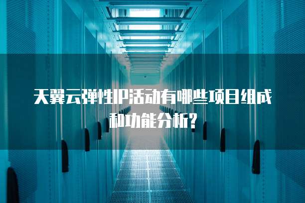 天翼云弹性IP活动有哪些项目组成和功能分析?