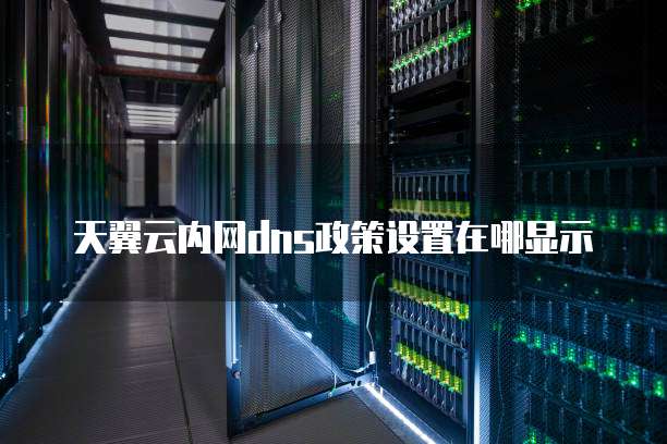 天翼云内网dns政策设置在哪显示