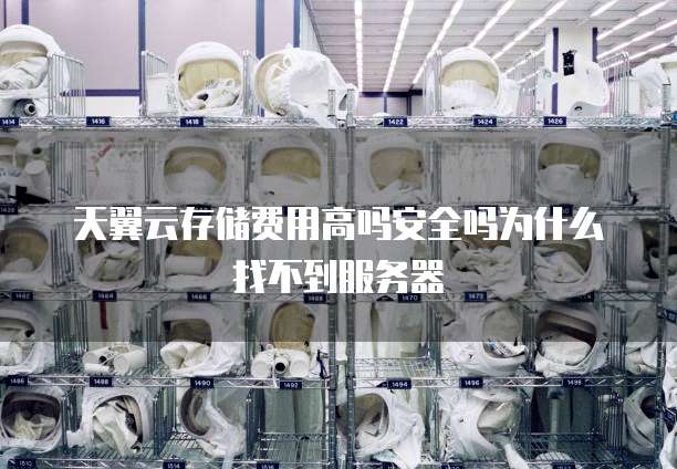 天翼云存储费用高吗安全吗为什么找不到服务器