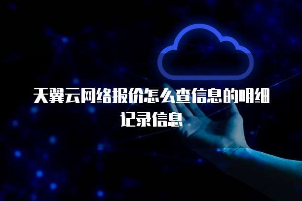 天翼云网络报价怎么查信息的明细记录信息