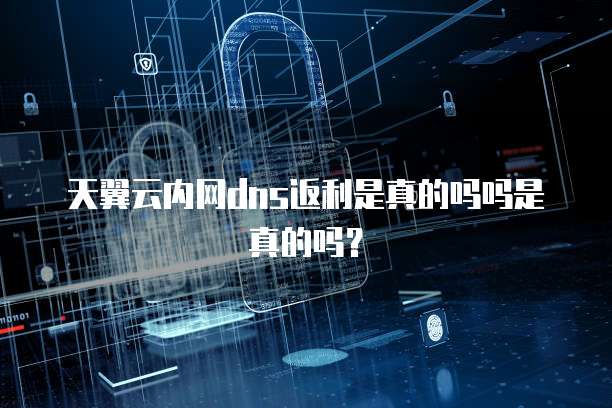 天翼云内网dns返利是真的吗吗是真的吗？