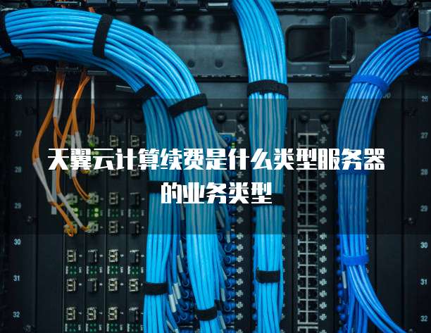 天翼云计算续费是什么类型服务器的业务类型