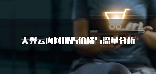 天翼云内网DNS价格与流量分析