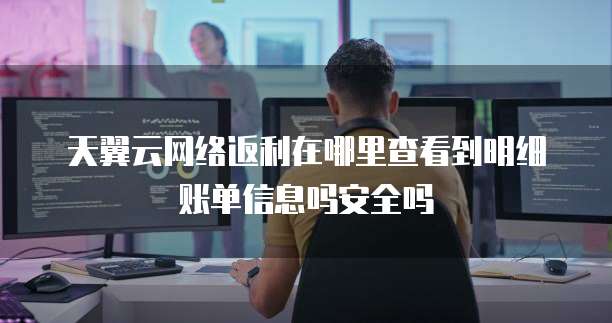 天翼云网络返利在哪里查看到明细账单信息吗安全吗
