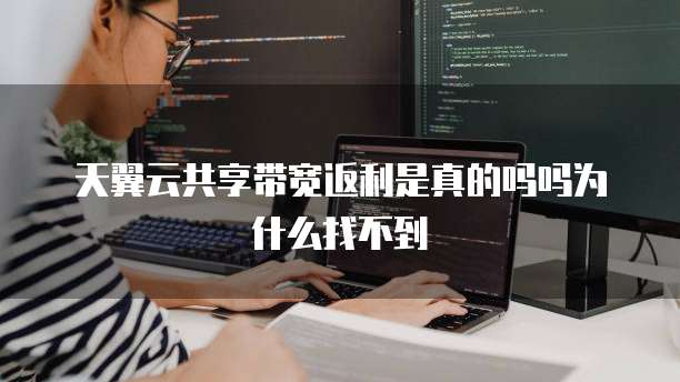 天翼云共享带宽返利是真的吗吗为什么找不到