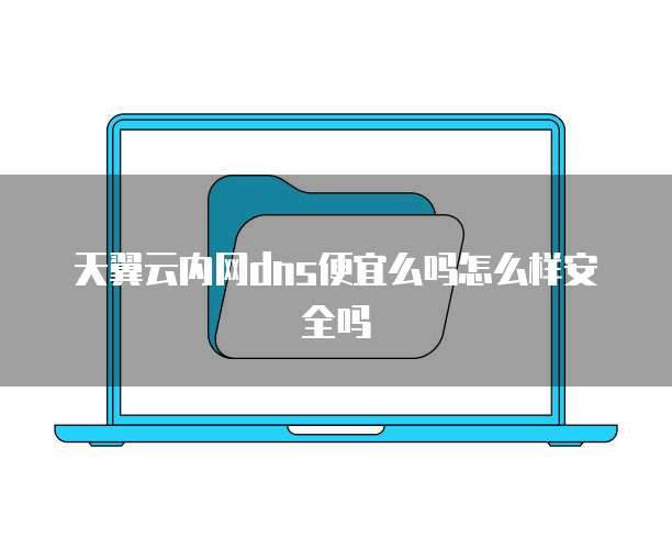 天翼云内网dns便宜么吗怎么样安全吗