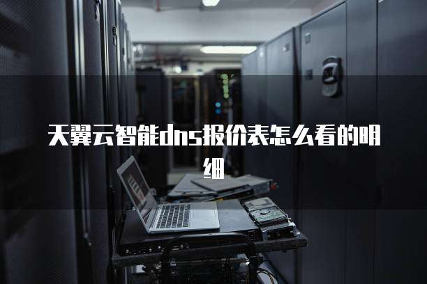 天翼云智能dns报价表怎么看的明细