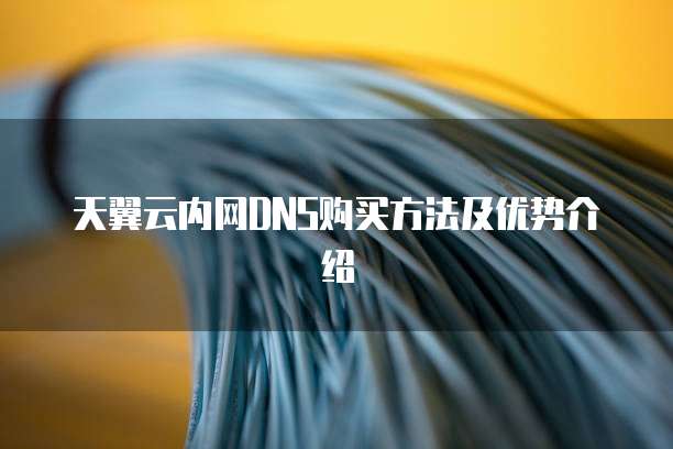 天翼云内网DNS购买方法及优势介绍