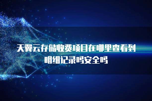 天翼云存储收费项目在哪里查看到明细记录吗安全吗