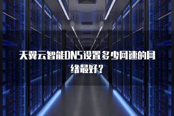 天翼云智能DNS设置多少网速的网络最好?