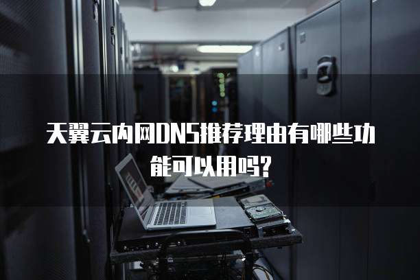 天翼云内网DNS推荐理由有哪些功能可以用吗?