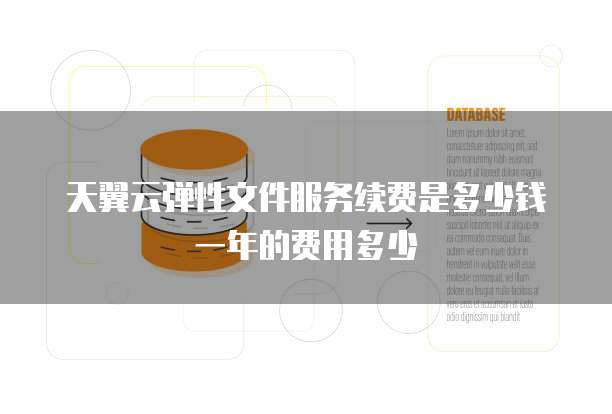天翼云弹性文件服务续费是多少钱一年的费用多少