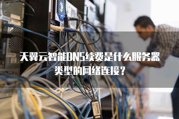 天翼云智能DNS续费是什么服务器类型的网络连接?
