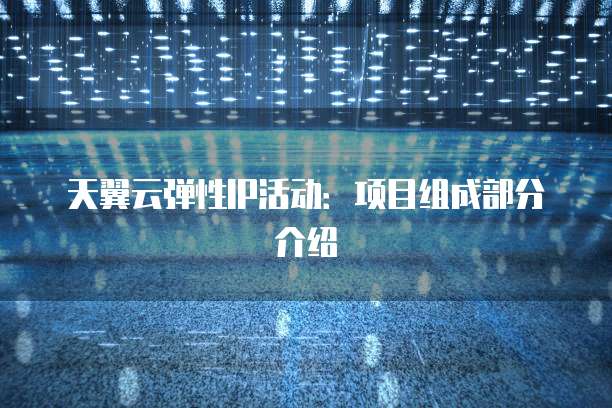 天翼云弹性IP活动:项目组成部分介绍