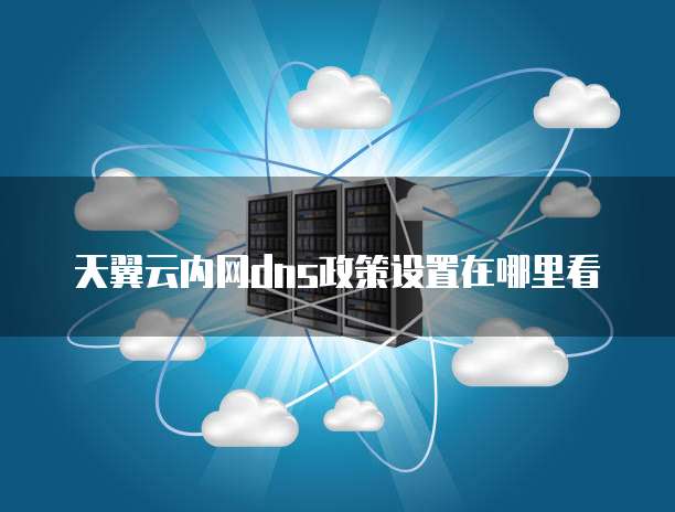 天翼云内网dns政策设置在哪里看