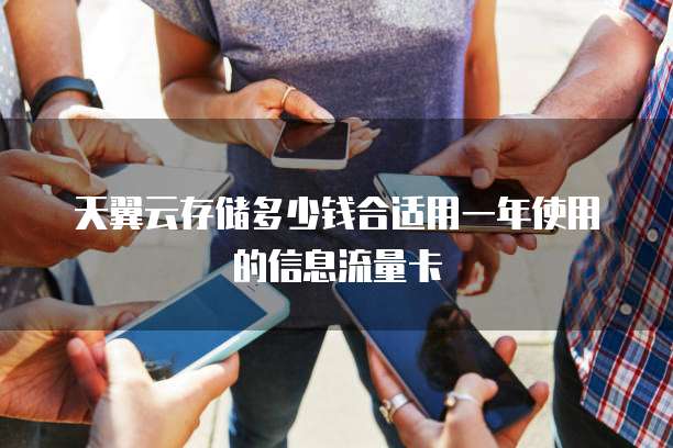 天翼云存储多少钱合适用一年使用的信息流量卡