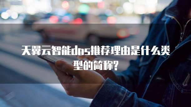 天翼云智能dns推荐理由是什么类型的简称?