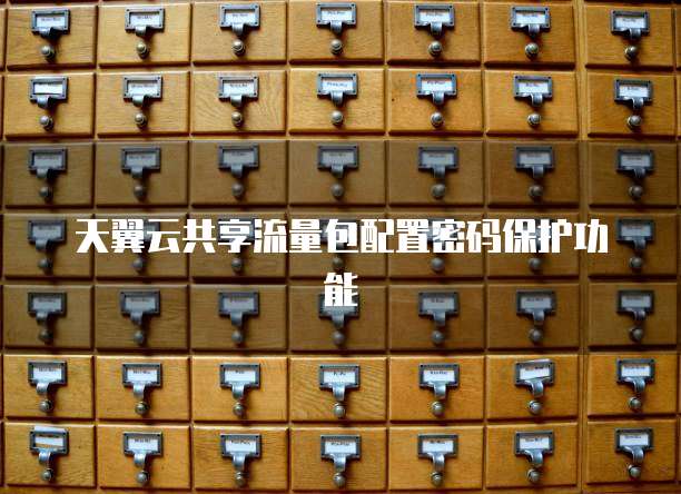 天翼云共享流量包配置密码保护功能