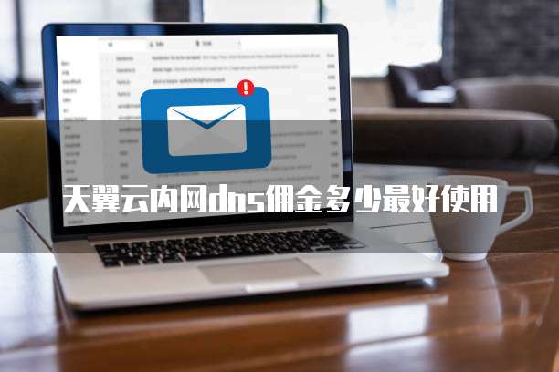天翼云内网dns佣金多少最好使用