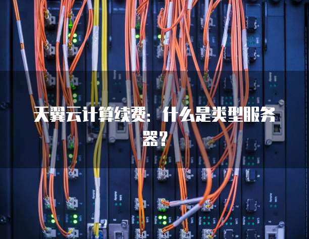 天翼云计算续费:什么是类型服务器?