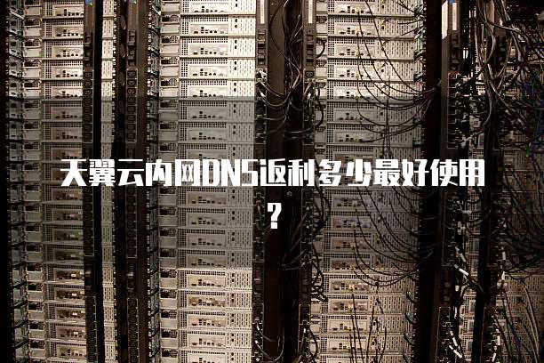 天翼云内网DNS返利多少最好使用?