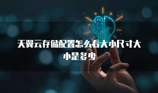 天翼云存储配置怎么看大小尺寸大小是多少