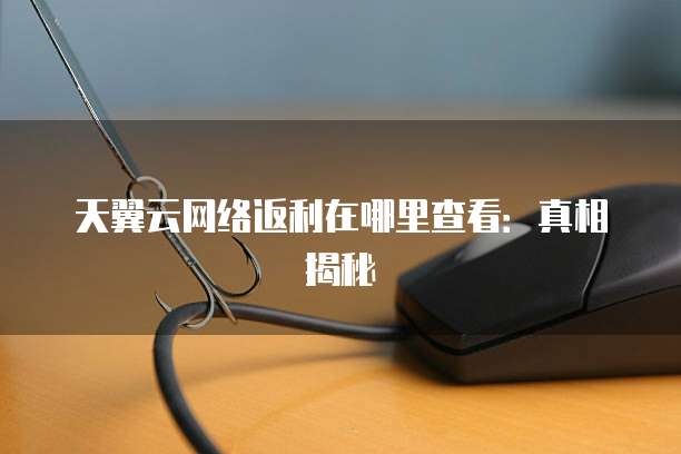 天翼云网络返利在哪里查看:真相揭秘