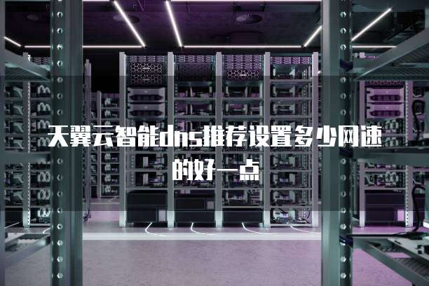 天翼云智能dns推荐设置多少网速的好一点