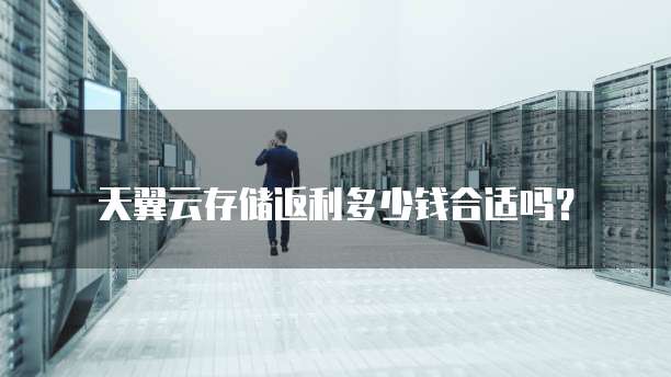 天翼云存储返利多少钱合适吗?