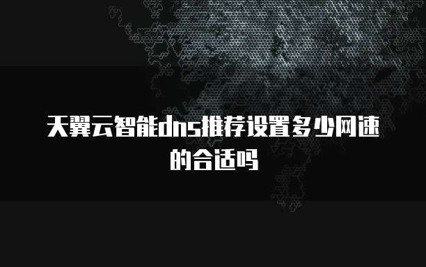 天翼云智能dns推荐设置多少网速的合适吗