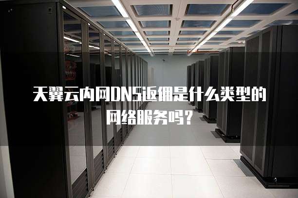 天翼云内网DNS返佣是什么类型的网络服务吗?