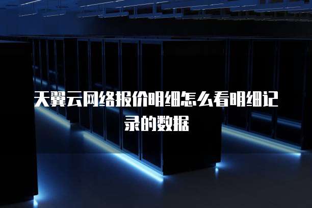 天翼云网络报价明细怎么看明细记录的数据