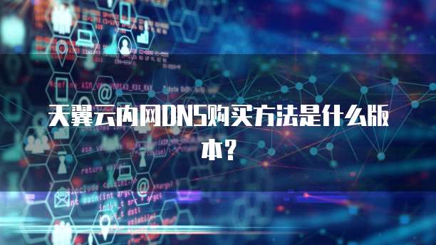 天翼云内网DNS购买方法是什么版本?
