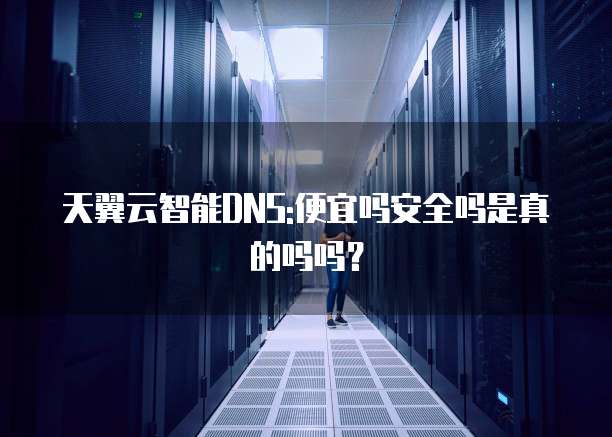 天翼云智能DNS:便宜吗安全吗是真的吗吗?