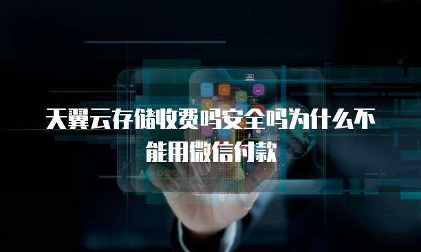 天翼云存储收费吗安全吗为什么不能用微信付款