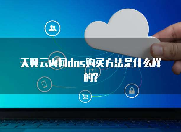 天翼云内网dns购买方法是什么样的?