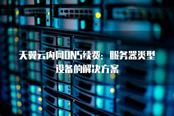 天翼云内网DNS续费：服务器类型设备的解决方案