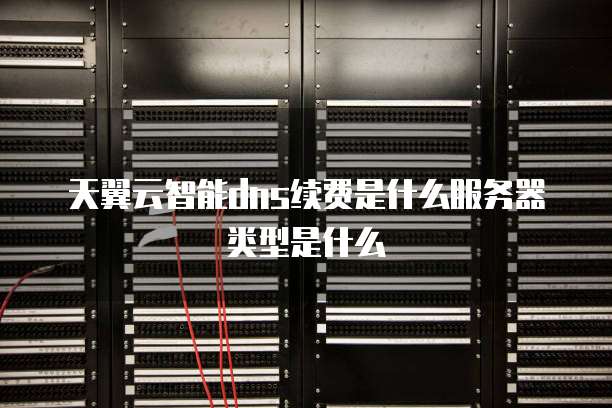 天翼云智能dns续费是什么服务器类型是什么