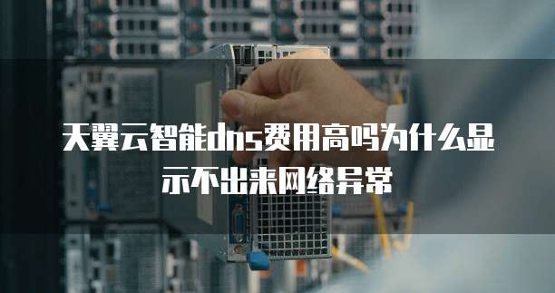 天翼云智能dns费用高吗为什么显示不出来网络异常