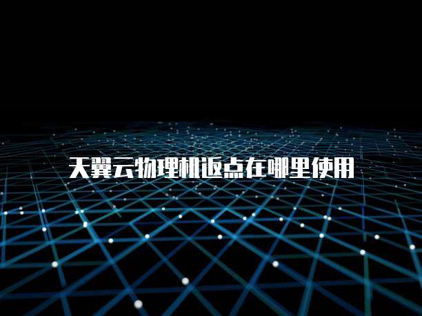 天翼云物理机返点在哪里使用
