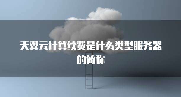 天翼云计算续费是什么类型服务器的简称