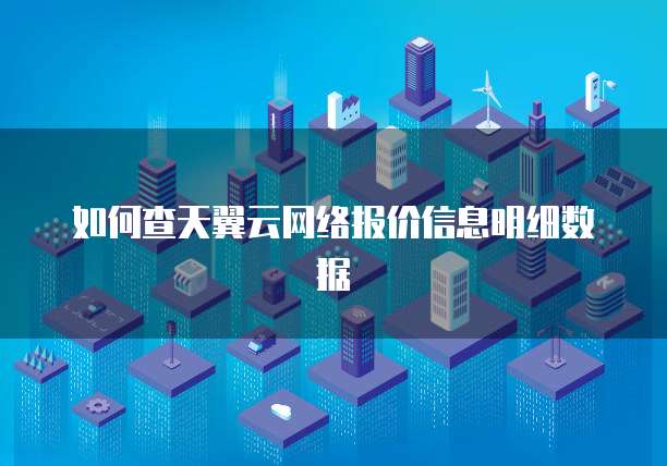 如何查天翼云网络报价信息明细数据