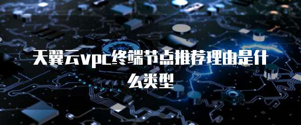 天翼云vpc终端节点推荐理由是什么类型