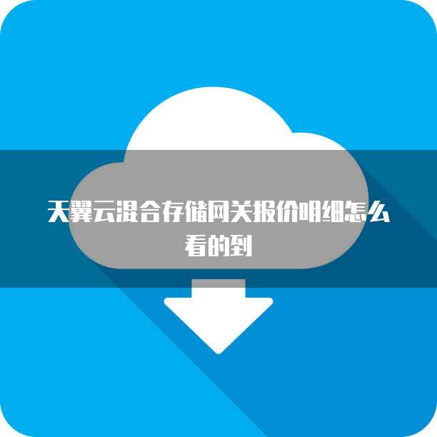 天翼云混合存储网关报价明细怎么看的到
