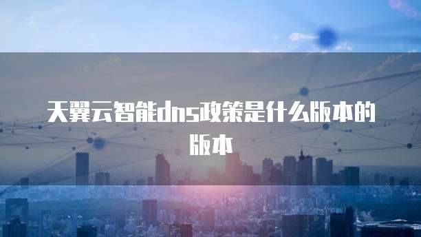 天翼云智能dns政策是什么版本的版本
