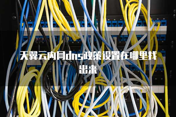 天翼云内网dns政策设置在哪里找出来
