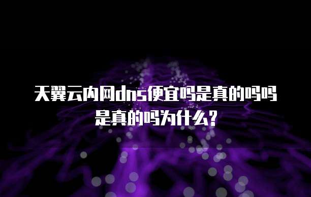 天翼云内网dns便宜吗是真的吗吗是真的吗为什么?
