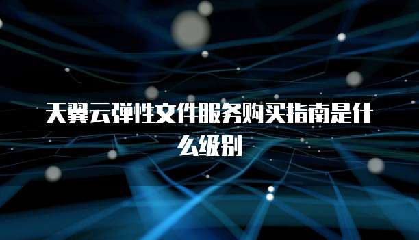 天翼云弹性文件服务购买指南是什么级别