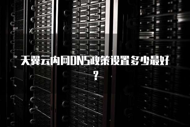 天翼云内网DNS政策设置多少最好?