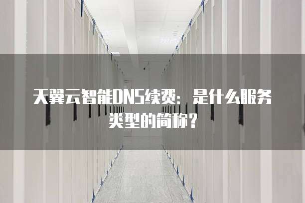天翼云智能DNS续费：是什么服务类型的简称？